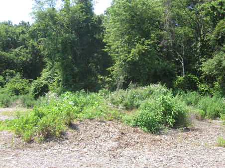 Enlarge photo 21