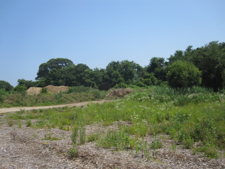 Enlarge photo 26