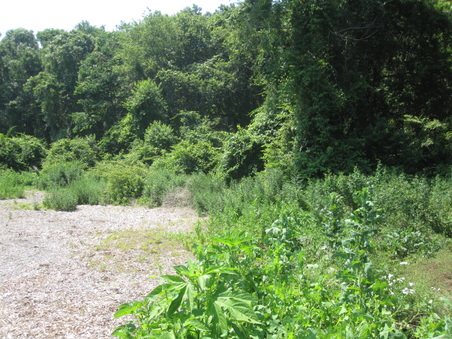 Enlarge photo 5