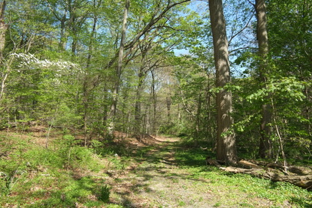 Enlarge photo 5