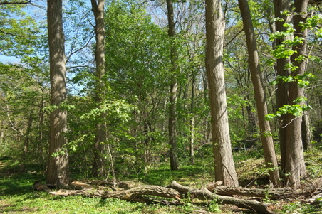Enlarge photo 6