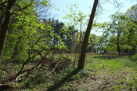 Enlarge photo 7