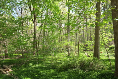 Enlarge photo 8