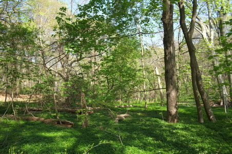 Enlarge photo 10