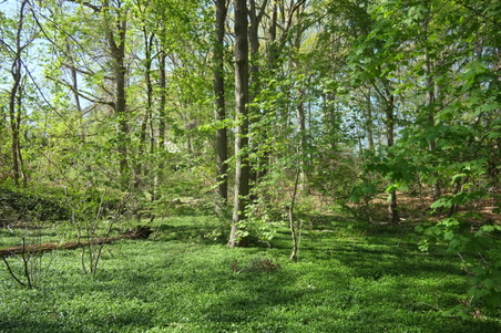 Enlarge photo 11