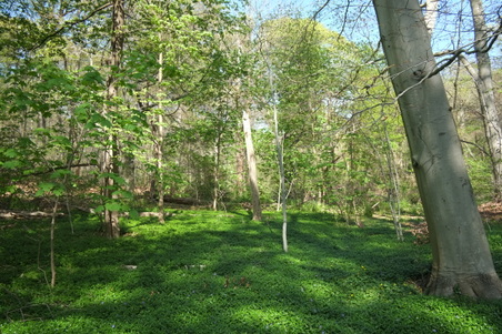 Enlarge photo 12