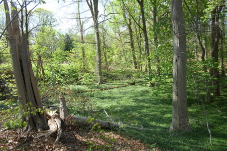 Enlarge photo 14