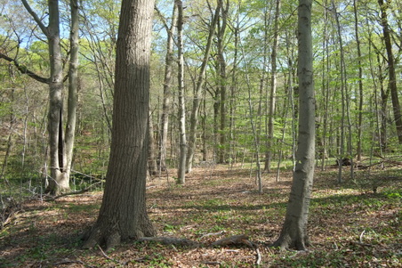 Enlarge photo 15
