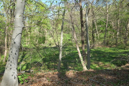 Enlarge photo 16