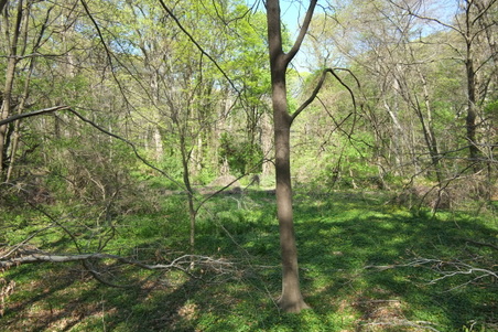 Enlarge photo 17