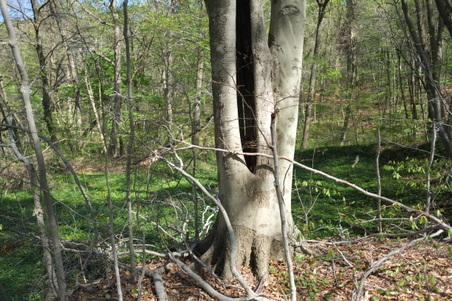 Enlarge photo 18