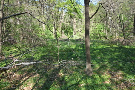 Enlarge photo 19