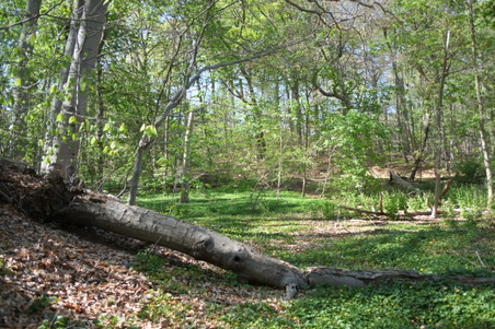 Enlarge photo 20