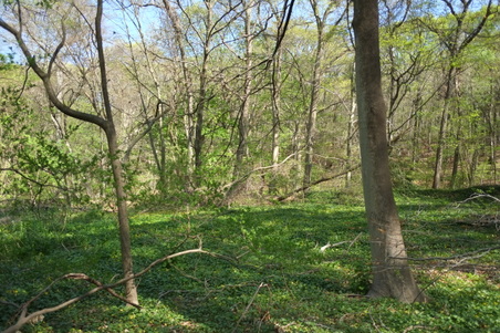 Enlarge photo 21