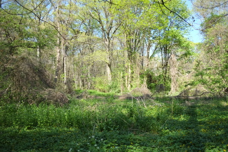 Enlarge photo 22