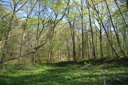 Enlarge photo 23