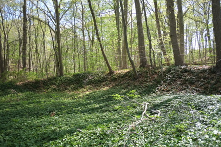 Enlarge photo 24