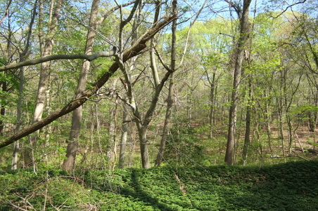 Enlarge photo 26