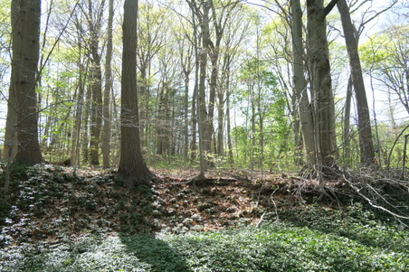 Enlarge photo 27