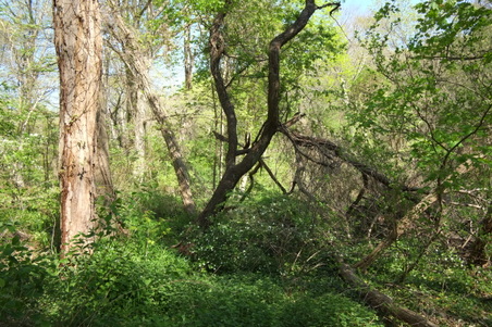Enlarge photo 28