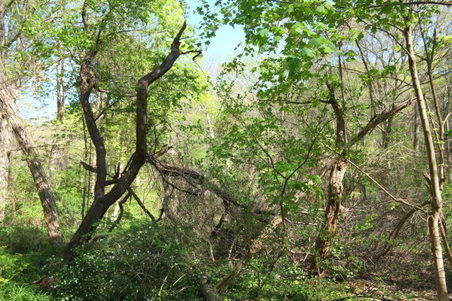 Enlarge photo 29