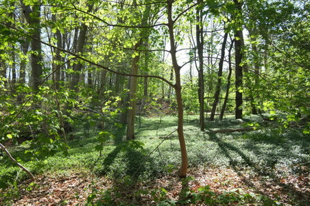 Enlarge photo 30