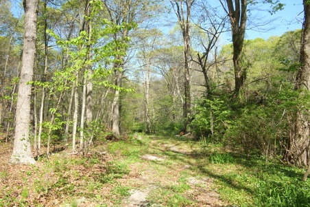 Enlarge photo 31