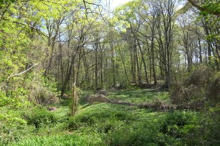 Enlarge photo 32