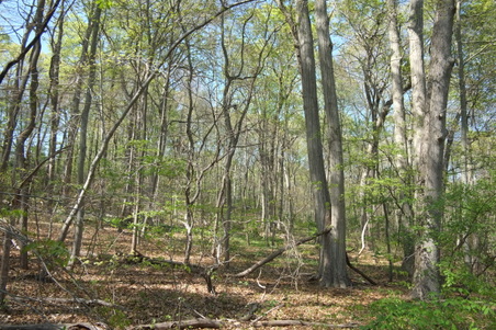 Enlarge photo 33