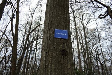 Enlarge photo 71
