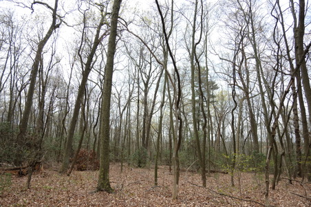 Enlarge photo 68