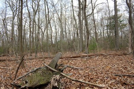 Enlarge photo 69