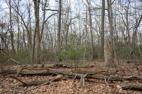 Enlarge photo 67