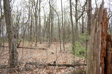 Enlarge photo 65