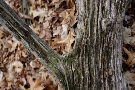 Enlarge photo 62