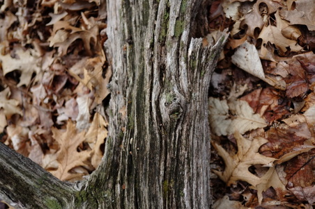 Enlarge photo 61