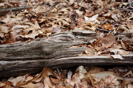 Enlarge photo 59