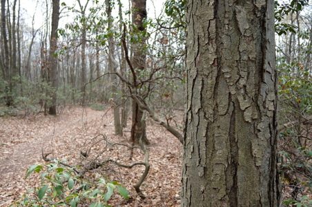 Enlarge photo 55