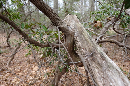 Enlarge photo 56