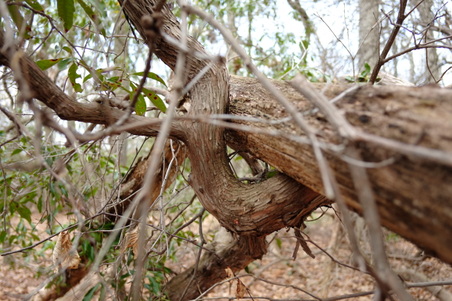 Enlarge photo 54