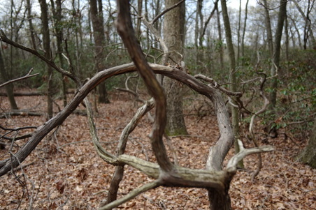 Enlarge photo 53