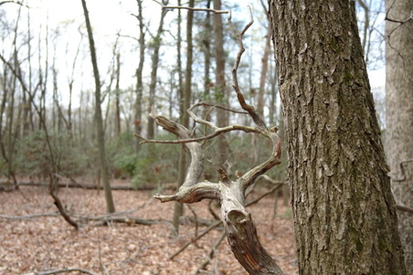 Enlarge photo 52