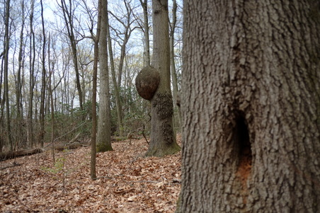 Enlarge photo 49