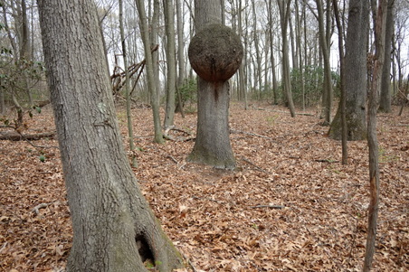 Enlarge photo 48