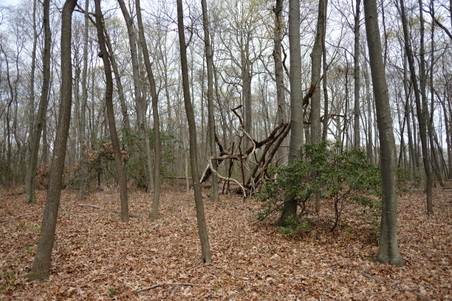 Enlarge photo 38