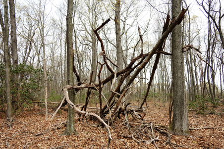 Enlarge photo 34