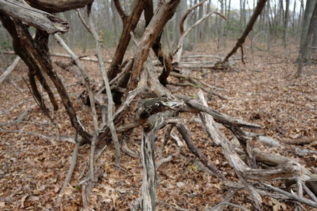 Enlarge photo 36