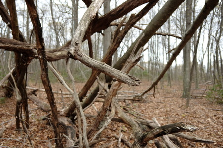 Enlarge photo 35