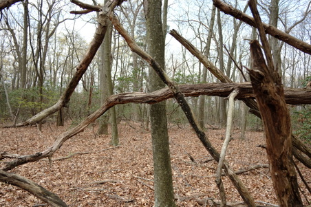 Enlarge photo 33