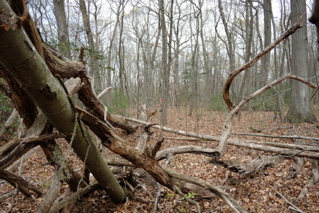 Enlarge photo 31